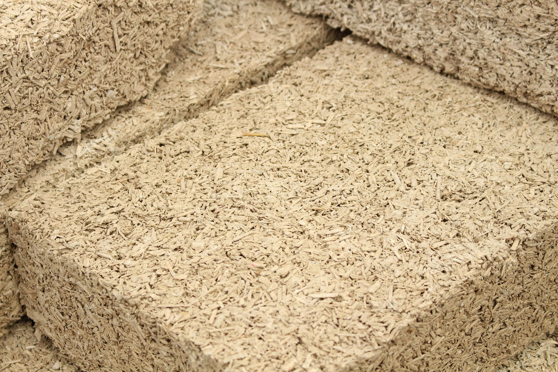 dried brown grass